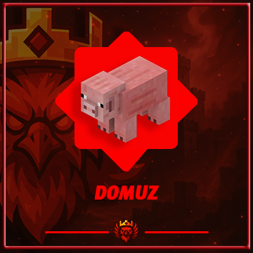 Mağaza - DOMUZ SPAWNER Ürün